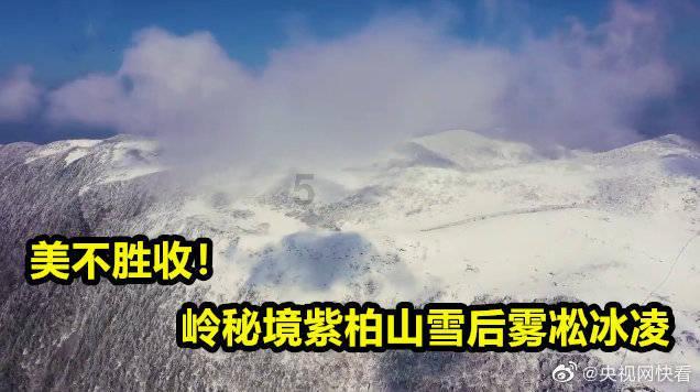 外星球体进黑洞